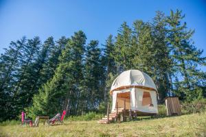 Tentes de luxe Dome en pleine nature : photos des chambres