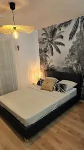 Douillet studio Océane - Bois de Nèfles