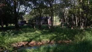 Off-grid Cork Cabin With It's Own Island - West Stour