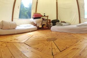 Dôme en pleine nature