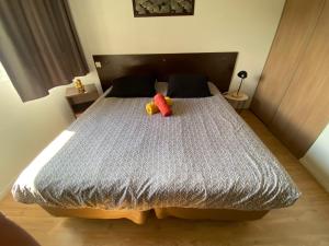 Appartements Libre comme l'air ! : photos des chambres