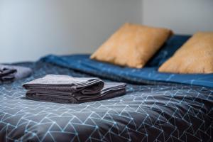 Appartements 3 ch Centre Ville proche Gare Wifi Ile Millocheau : photos des chambres
