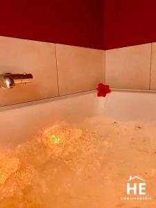 Appartements Hibiscus - Balneo - Netflix & Chill : Appartement 1 Chambre