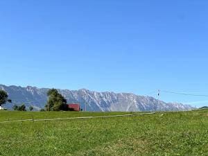 Casa Bunicilor Ciocanu