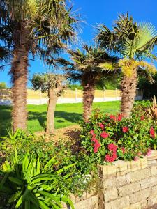 Maisons de vacances maison de vacances bord de mer : photos des chambres