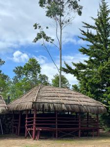 Farm Stay - Apple Valley