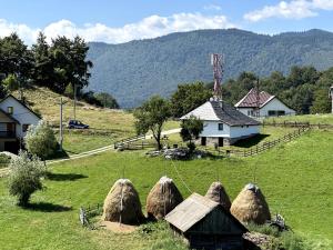 Casa Bunicilor Ciocanu