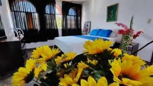NUEVA ADM- Hotel Occidental - Dolega