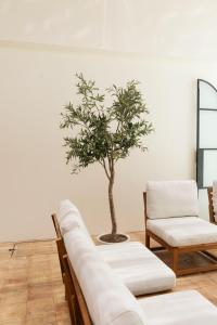 Lujosa Casa con Piscina en el Corazón de Oaxaca