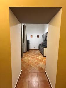 Ferrigni 33