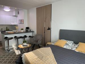 Studio apartment B13 in the city center