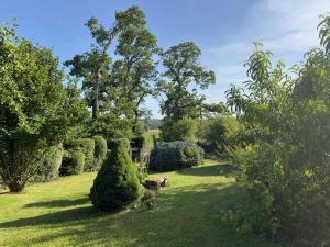 Peaceful Retreat in Traditional Stone House