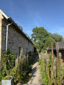 Maisons de vacances Peaceful Retreat in Traditional Stone House : photos des chambres