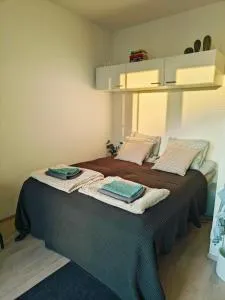 Härmälän Kotoisa - valoisa yksiö - free parking & wifi - Kulju