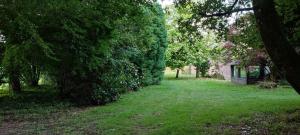 Maisons de vacances Gite de charme Motreff : photos des chambres