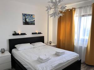 Comfortable Baia Mare Apartment