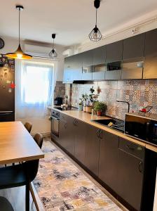 Comfortable Baia Mare Apartment