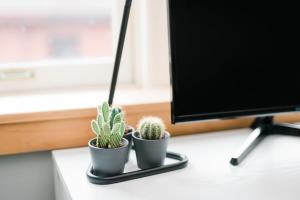 Modern Chic Suite - Amazing Location - GroupStay