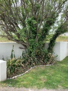 Newly renovated beach house on the coast