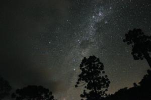 Cabanas Terrunyo - Cabana Bela