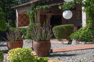 Villas Mas de Charles : photos des chambres