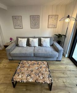 Appartements Le Briand Appartement 4etoiles Nancy Thermal Cosy avec Terrasse Wifi : photos des chambres