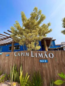 Capim Limão Containers do Rosa