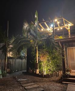 Capim Limão Containers do Rosa