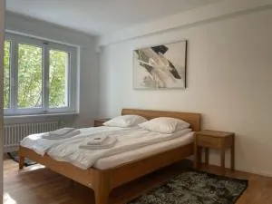 Sunny and very central 2BR flat - Sky8 - Zollikerberg