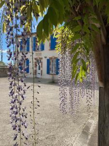 Maisons de vacances l-ecole du bonheur : photos des chambres