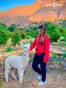 HOTEL HUAYTARA CasaBlanca