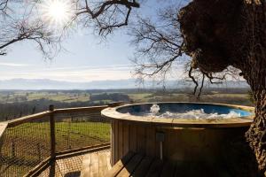 Maisons de vacances Ferme Bourdasse : photos des chambres