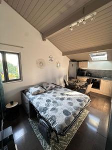 Appartements Au calme, parking gratuit,proche centre Thonon les bains : photos des chambres