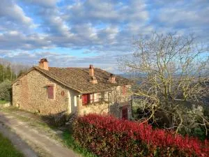 Il Rustico Vicopisano - Buti