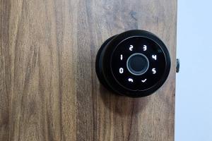 Casa de las Palmas 2