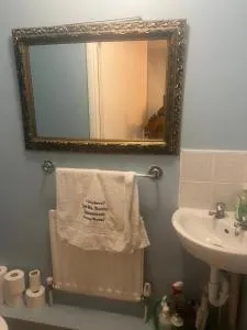 Double Alpha - Forest Hill