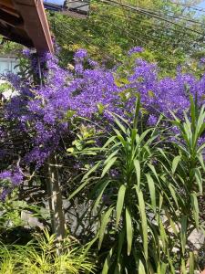 Pousada Villa Provence