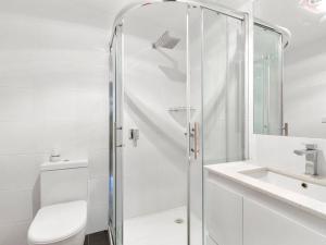 Silverleaves on the Beach