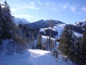 Appartements Valmorel Creve Coeur 2 Pieces - Animaux Acceptes, Parking, Balcon - FR-1-356-504 : photos des chambres