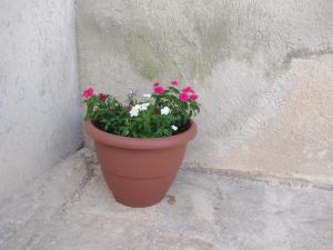 Turquoise Comfort Haven