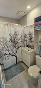 Spacious bright Apt,Parking and self check-in