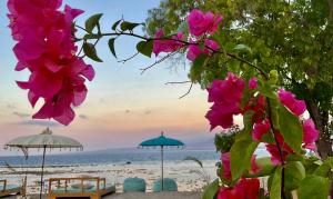Mandala Beach healing rooms Gili Air