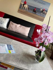 Ferienwohnung mit Terrasse - Insel Usedom