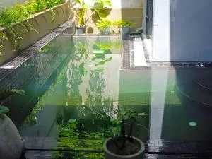 Charming 4-bedroom bungalow with plunge pool - 卡杜韦勒
