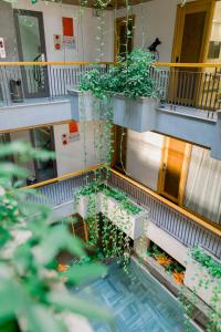 Lahome Boutique Villa and Apartment