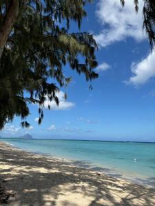 Aquamarine Beachfront Apartment - 4hvězdičkové hotely ve městě Flic-en-Flac