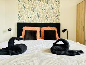 Appartements Vue sur Saint Quentin Un Sejour a Part : photos des chambres