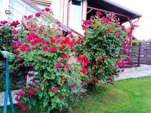 Casa Claudiu Busteni