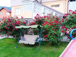 Casa Claudiu Busteni