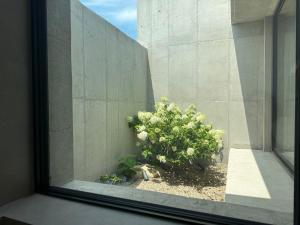 Yangyang Stay Yeonwa